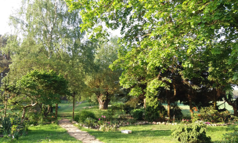 Ustawienia Rodzin Elżbieta Narkiewicz