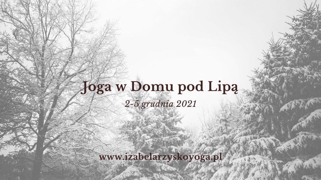 Grudzień w Domu pod Lipą Izą Rzysko
