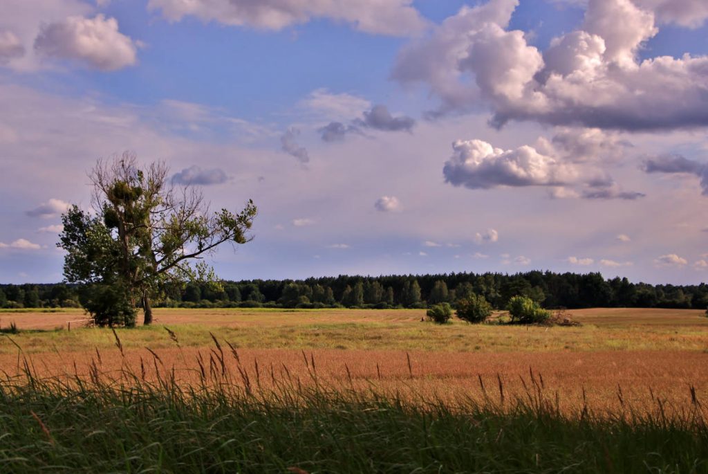 Okolica Domu pod Lipa - fot. Ewa Profaska WNofPh