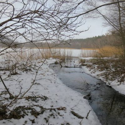Zima - ujście strumienia, fot. EBK