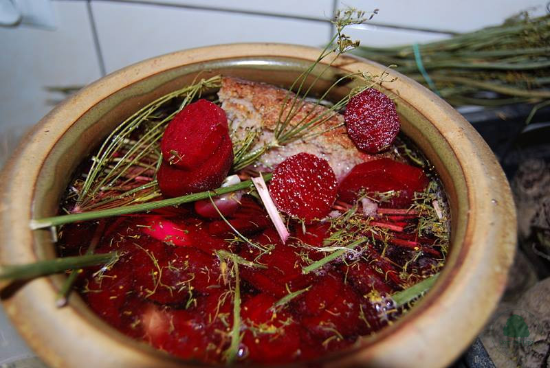 Zakwas_na_barszcz_Sylwii