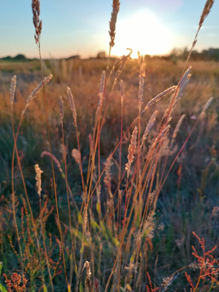 Jesienne otulenie joga i tancem Kasia Buchert 2025