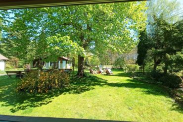 Majowe ożywienie Jogą i Tańcem