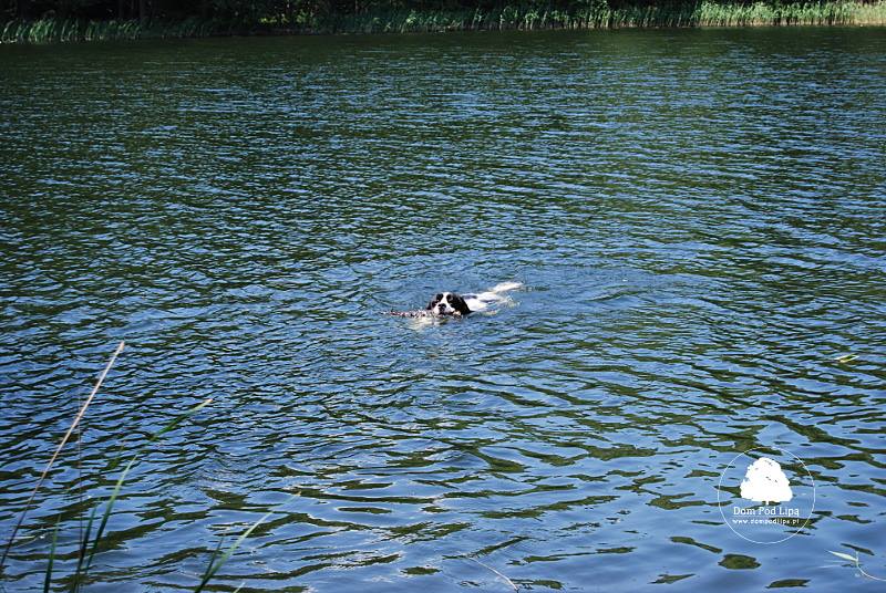Maniek_Jezioro_Chlop_2018_06_02