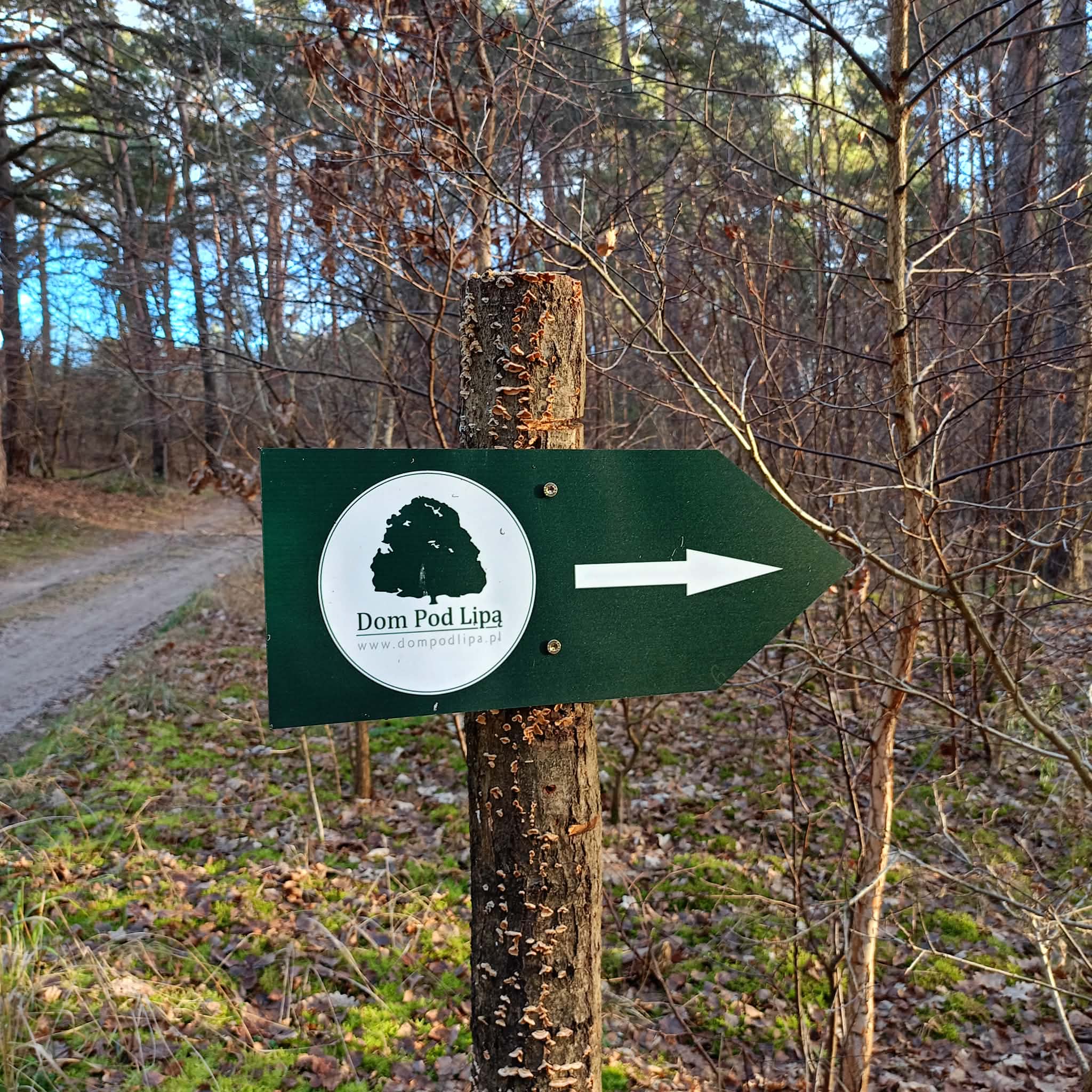 Aktualności_Dom_Pod_Lipa